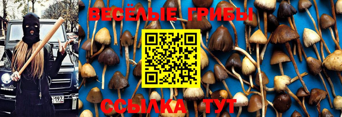 Рубцовск  Галлюциногенные грибы GOLDEN TEACHER  Вход с VPN 